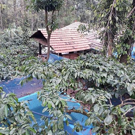 Durf Green Madikeri Exterior foto