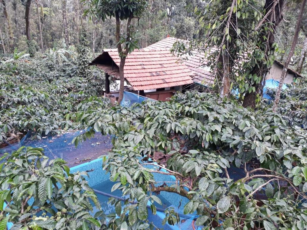 Durf Green Madikeri Exterior foto