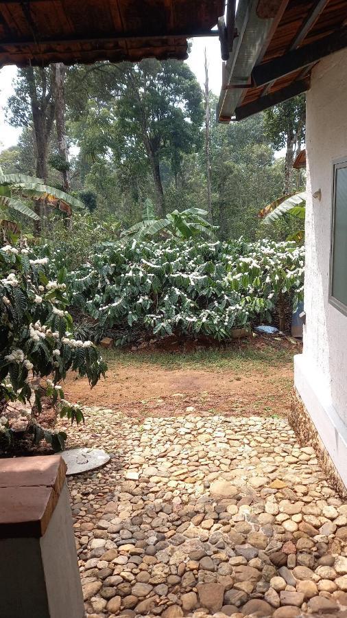 Durf Green Madikeri Exterior foto